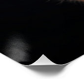 Majestic Feline Portrait Poster (Ecke)