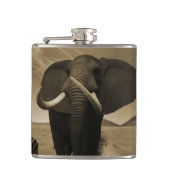 Majestic Flachmann (Vorderseite)