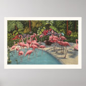 Majestic Flamingos Print Poster (Vorne)