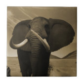 Majestic Fliese (Vorderseite)