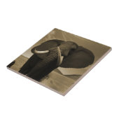 Majestic Fliese (Seite)