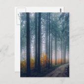 Majestic Forest Path Postkarte (Vorne/Hinten)