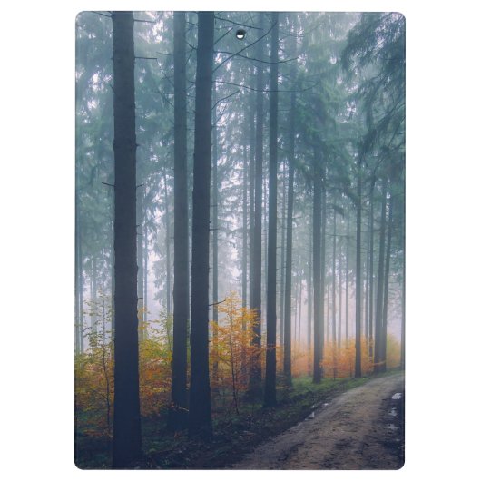 Majestic Forest Tree Lined Path Klemmbrett (Rückseite)