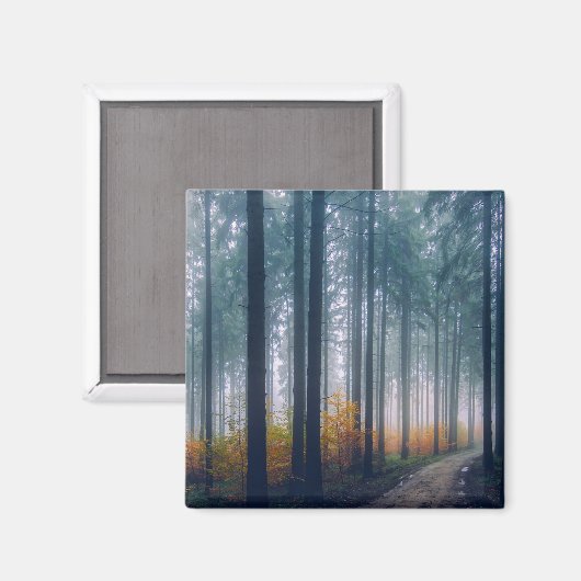 Majestic Forest Tree Lined Path Magnet (Vorderseite/Rückseite)
