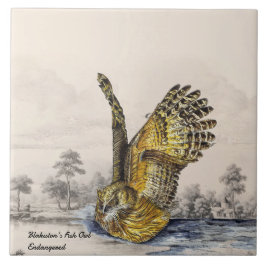 Majestic gefähred Blakiston's Fish Owl (Bird) Fliese