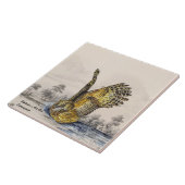 Majestic gefähred Blakiston's Fish Owl (Bird) Fliese (Seite)