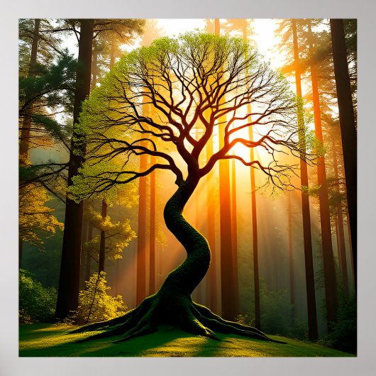 Majestic geschliffener Baum im Wald mit strahlende Poster (Vorne)