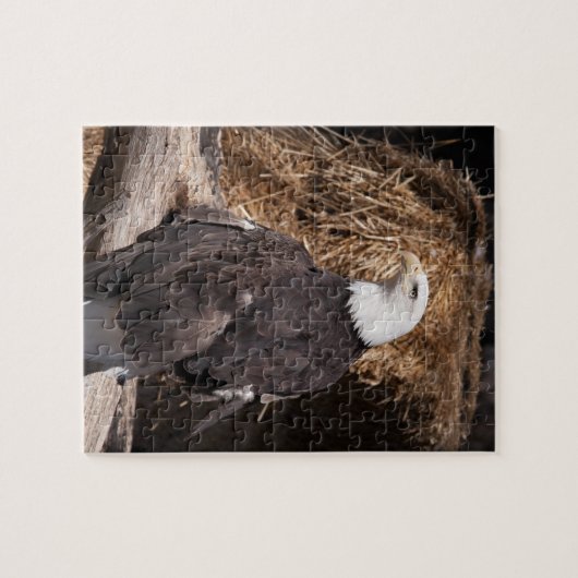 Majestic Glatze Puzzle (Horizontal)