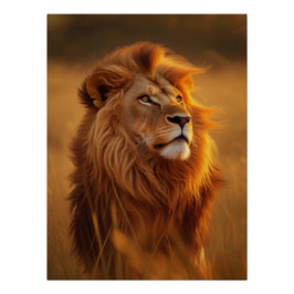Majestic Golden Lion Sunset Glossy Poster