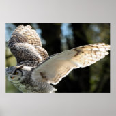 Majestic Great Horn Owl Poster (Vorne)