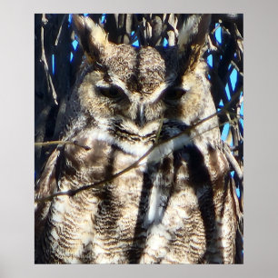 Majestic Great Horned Owl Wildlife Foto Poster