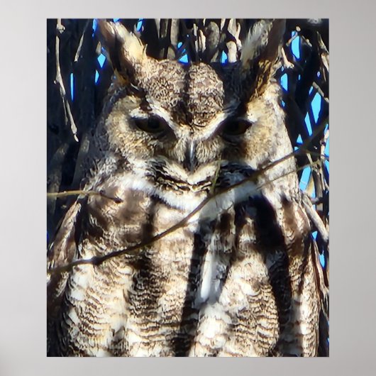 Majestic Great Horned Owl Wildlife Foto Poster (Vorne)