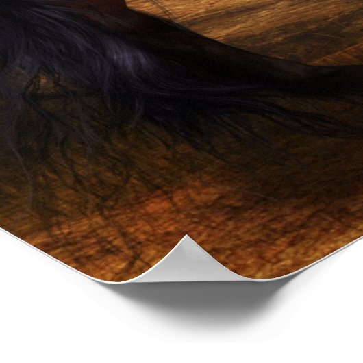 Majestic Hallions Poster (Ecke)