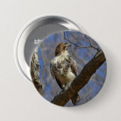 Majestic Hawk Button (Vorne & Hinten)