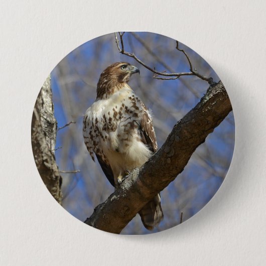 Majestic Hawk Button (Vorderseite)