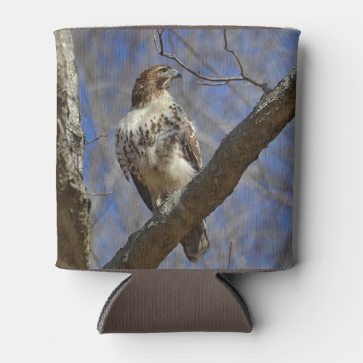 Majestic Hawk Dosenkühler (Vorderseite)