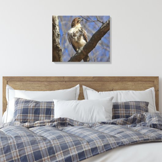 Majestic Hawk Leinwanddruck (Insitu (Schlafzimmer))