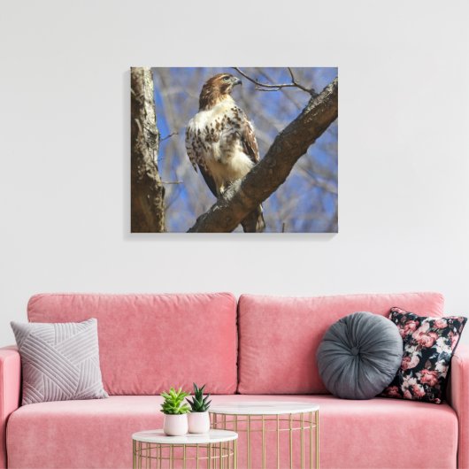 Majestic Hawk Leinwanddruck (Insitu (Wohnzimmer))