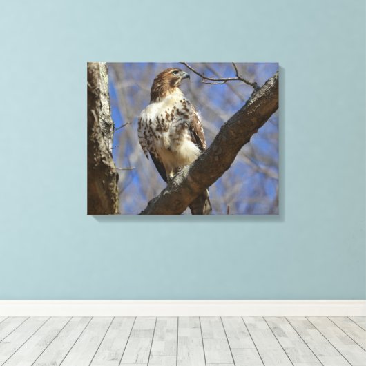 Majestic Hawk Leinwanddruck (Insitu (Holzboden))