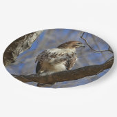 Majestic Hawk Pappteller (Schrägansicht)