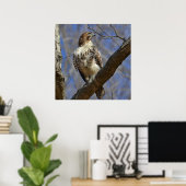 Majestic Hawk Poster (Heimbüro)