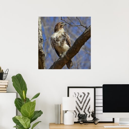 Majestic Hawk Poster (Heimbüro)