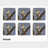 Majestic Hawk Quadratischer Aufkleber (Blatt)