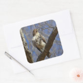 Majestic Hawk Quadratischer Aufkleber (Umschlag)