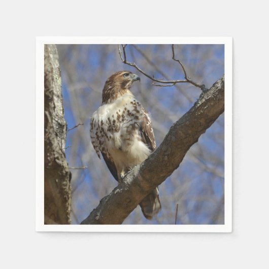 Majestic Hawk Serviette (Vorderseite)