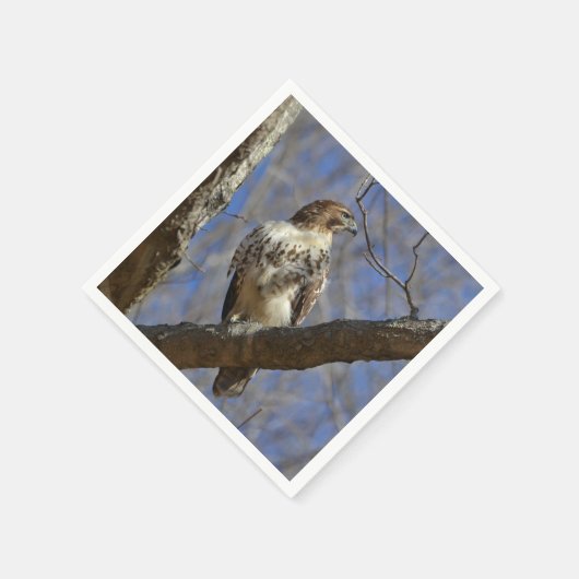 Majestic Hawk Serviette (Ecke)