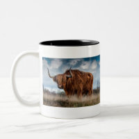 Majestic Highland Cow