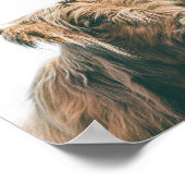 Majestic Hochland-Kuh-Portrait Poster (Ecke)