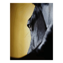 Majestic Horse Eye Close-Up Art Poster