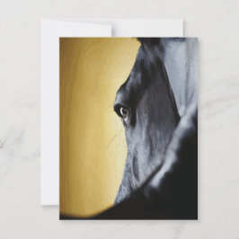 Majestic Horse Eye Nah-Up Art Postkarte