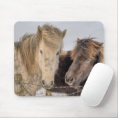 Majestic Islandpferde Mousepad (Mit Mouse)