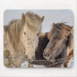 Majestic Islandpferde Mousepad