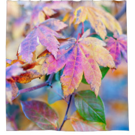 Majestic japanische Ahorn-Blätter Duschvorhang