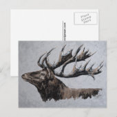 Majestic - Jungle Postkarte (Vorne/Hinten)