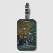 Majestic Kangaroo Gepäckanhänger (Vorderseite Vertikal)