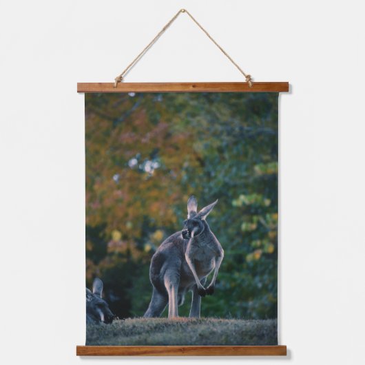 Majestic Kangaroo Wandteppich Mit Holzrahmen (Vorderseite)