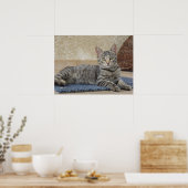 Majestic Kitten Poster (Küche)