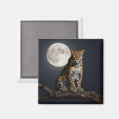 Majestic Leopard and Full Moon   Magnet (Vorderseite/Rückseite)