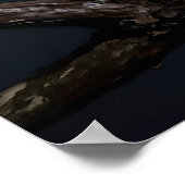 Majestic Leopard and Full Moon   Poster (Ecke)