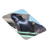 Majestic Lila Martin Magnet (Rechte Seite)