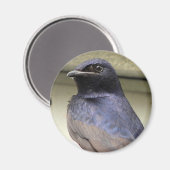 Majestic Lila Martin Magnet (Vorderseite/Rückseite)