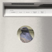 Majestic Lila Martin Magnet (In Situ (Geschirrspüler))