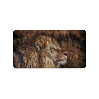 Majestic Lion Adressaufkleber