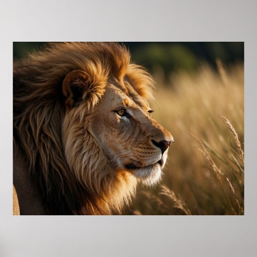 Majestic Lion Background Poster (Vorne)