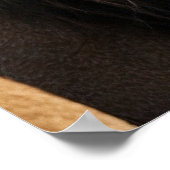 Majestic Lion Background Poster (Ecke)