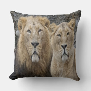 Majestic Lion Couple Kissen